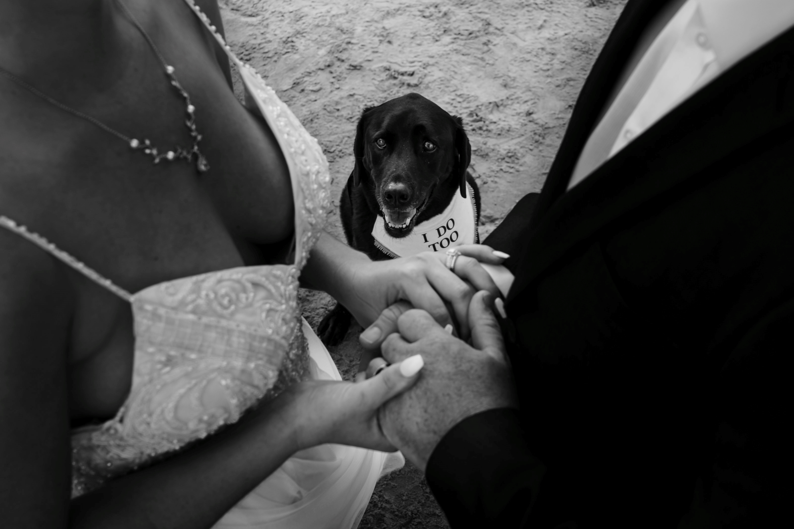 Castaways Resort & Spa-1860242